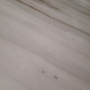 Meet your Posher, Tanya